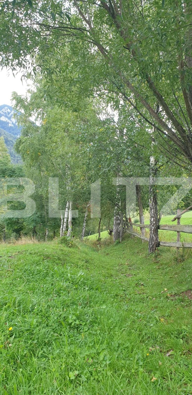 Teren de vânzare Moieciu - 97988TV | BLITZ Brașov | Poza16