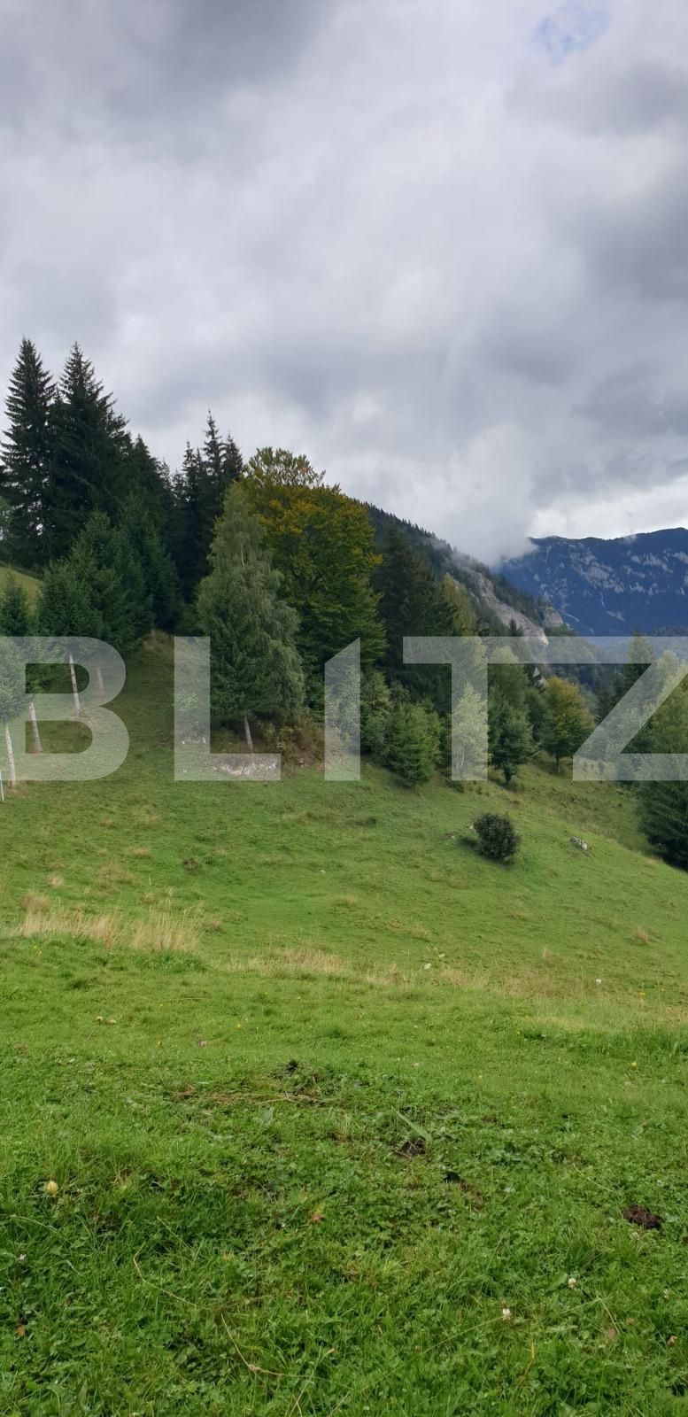 Teren de vânzare Moieciu - 97988TV | BLITZ Brașov | Poza8