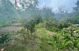 Casa saseasca 5 camere, 160mp utili, 1200mp teren, Feldioara