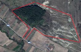 Teren 40 Hectare, Locuinta, 3 lacuri, zona Alunis