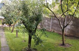 Casa 185 mp, parter, teren 538 mp, cartier Gruia