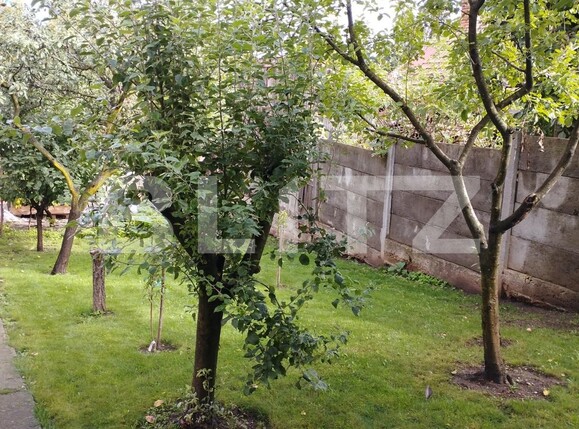 Casa de vânzare 3 camere Gruia - 98060CV | BLITZ Cluj-Napoca | Poza3