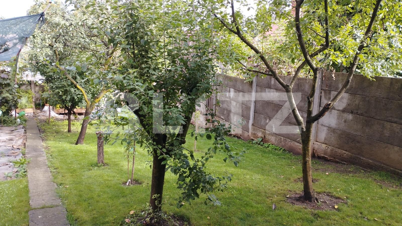 Casa de vânzare 3 camere Gruia - 98060CV | BLITZ Cluj-Napoca | Poza3