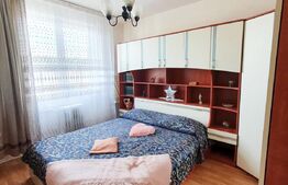 Apartament 2 camere, 46 mp, etaj intermediar, zona Garii