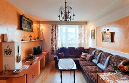 Apartament 2 camere, 46 mp, etaj intermediar, zona Garii