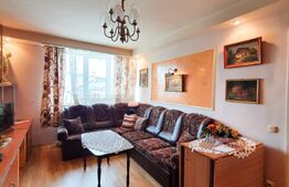 Apartament 2 camere, 46 mp, etaj intermediar, zona Garii