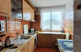 Apartament 2 camere, 46 mp, etaj intermediar, zona Garii