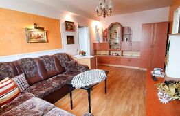 Apartament 2 camere, 46 mp, etaj intermediar, zona Garii