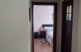 Apartament de 2 camere, 47 mp, mobilat/utilat, zona Astra
