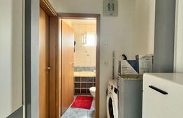 Apartament de 2 camere, 40 mp, mobilat/utilat, Noua