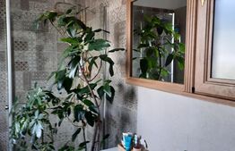  Casa tip duplex,finisat, 113 mp utili, 175 mp teren,Dezmir