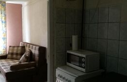 Garsoniera, 24 mp, etaj intermediar, Bartolomeu