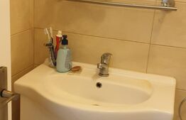 Casa de 2 camere, 55 mp utili, teren 80 mp, mobilata/utilata, zona Sora