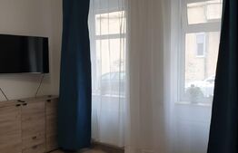 Casa de 2 camere, 55 mp utili, teren 80 mp, mobilata/utilata, zona Sora