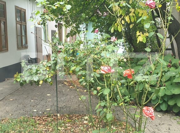 Casa de vânzare 2 camere Central - 98266CV | BLITZ Cluj-Napoca | Poza14