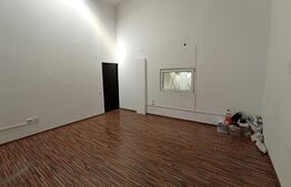 Hala industriala, 820 mp, Bd Muncii, acces TIR