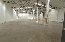 Hala industriala, 820 mp, Bd Muncii, acces TIR