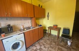 Garsonieră decomandată, 45 mp, pet friendly, zona străzii Gruia