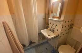 Garsonieră decomandată, 45 mp, pet friendly, zona străzii Gruia