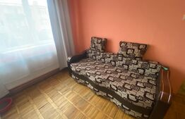 Garsonieră decomandată, 45 mp, pet friendly, zona străzii Gruia