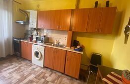 Garsonieră decomandată, 45 mp, pet friendly, zona străzii Gruia