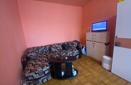 Garsonieră decomandată, 45 mp, pet friendly, zona străzii Gruia