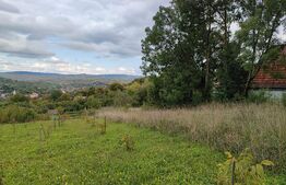 Teren intravilan 1196 mp, in Cojocna