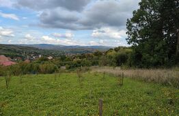 Teren intravilan 1196 mp, in Cojocna