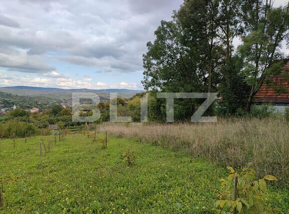 Teren de vânzare Cojocna - 98295TV | BLITZ Cluj-Napoca | Poza1