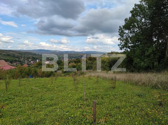 Teren de vânzare Cojocna - 98295TV | BLITZ Cluj-Napoca | Poza2