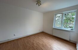 Apartament 2 camere, 46 mp, recent renovat, zona 1 Decembrie 1918