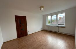 Apartament 2 camere, 46 mp, recent renovat, zona 1 Decembrie 1918