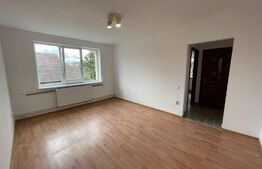 Apartament 2 camere, 46 mp, recent renovat, zona 1 Decembrie 1918