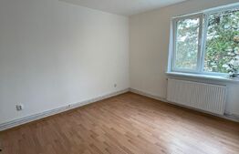 Apartament 2 camere, 46 mp, recent renovat, zona 1 Decembrie 1918