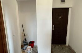 Apartament 2 camere, 46 mp, recent renovat, zona 1 Decembrie 1918