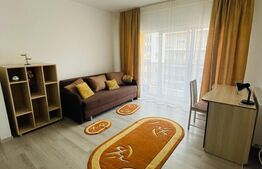 Garsoniera cocheta, 38mp, etaj intermediar, zona Teilor 