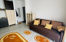 Garsoniera cocheta, 38mp, etaj intermediar, zona Teilor 