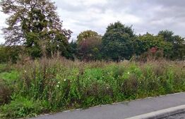 Teren intravilan 700 mp, zona Campului, de construit, pentru duplex!