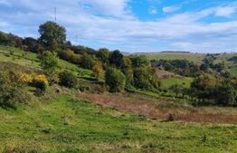 Teren intravilan 1575 mp, Feleacu, zona Valea Manastirii 