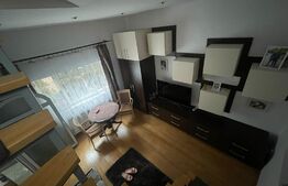 Oportunitate! Apartament 3 camere, pe doua niveluri, curte comuna, zona Centrala