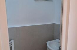 Spatiu birou, 40 mp, vad excelent, zona străzii Albac