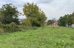 Casa individuala 65 mp si 435 mp teren, in zona UMF!