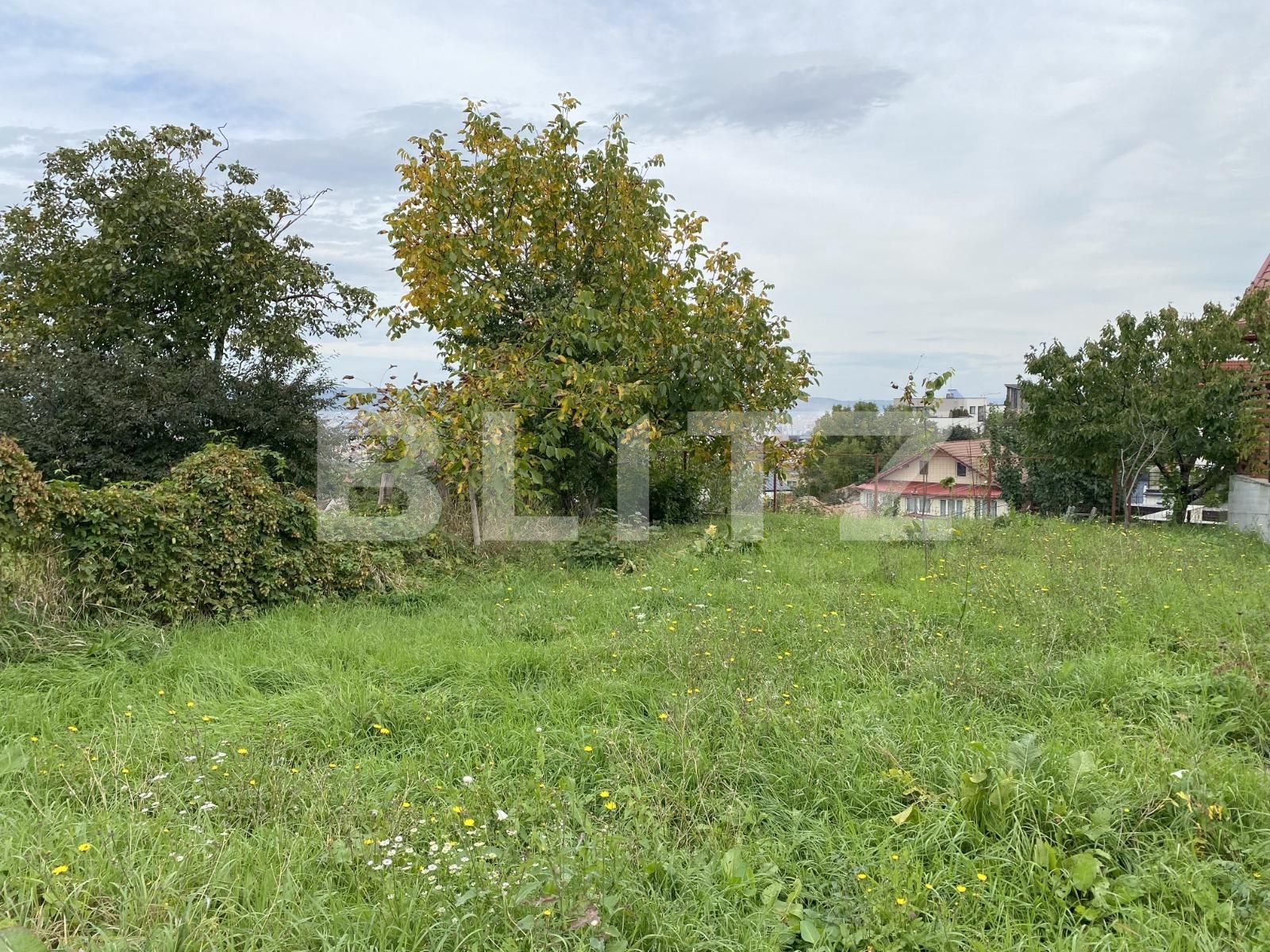 Casa de vânzare 3 camere Zorilor - 98439CV | BLITZ Cluj-Napoca | Poza2