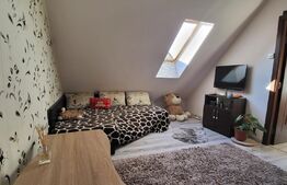 Apartament 2 camere, 36mp, mobilat si utilat, zona Porii