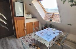 Apartament 2 camere, 36mp, mobilat si utilat, zona Porii