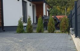  Casa 100 mp, 4 camere, 350 mp teren, zona Sannicoara