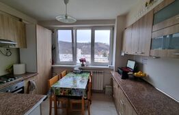 Apartament de 3 camere, 60 mp+10mp logie, priveliste, zona Grigorescu