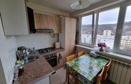 Apartament de 3 camere, 60 mp+10mp logie, priveliste, zona Grigorescu