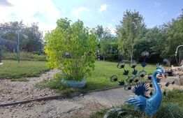 Casa individuala,165 mp utili, teren 1847 mp, sat Ciurila