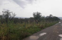 Teren intravilan 850 mp, zona Oasului 